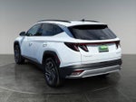 2025 TUCSON Hybrid Thumbnail 7