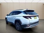 2025 TUCSON Hybrid Thumbnail 13
