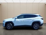 2025 TUCSON Hybrid Thumbnail 14