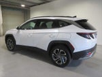 2025 TUCSON Hybrid Thumbnail 8