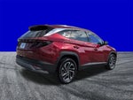 2025 TUCSON Hybrid Thumbnail 4