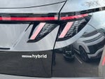 2025 TUCSON Hybrid Thumbnail 10