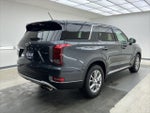 2020 PALISADE Thumbnail 4