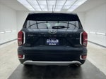 2020 PALISADE Thumbnail 5