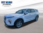 2020 Palisade Thumbnail 1