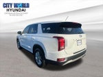 2020 Palisade Thumbnail 3