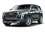 2020 Palisade Thumbnail 1