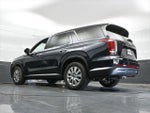 2024 Palisade Thumbnail 48