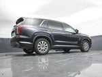 2025 Palisade Thumbnail 46