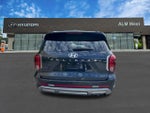 2025 Palisade Thumbnail 6