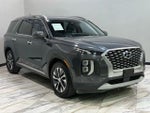 2020 Palisade Thumbnail 1