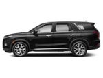 2021 Palisade Thumbnail 3