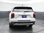 2020 PALISADE Thumbnail 4