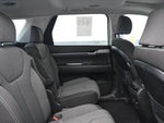 2020 PALISADE Thumbnail 13