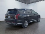 2024 Palisade Thumbnail 5
