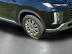 2024 Palisade Thumbnail 10