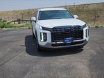 2025 Palisade Thumbnail 4