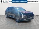 2024 Palisade Thumbnail 1
