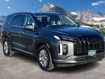 2025 Palisade Thumbnail 12