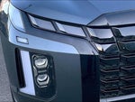 2025 Palisade Thumbnail 29