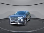 2020 Palisade Thumbnail 3