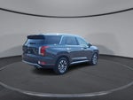 2020 Palisade Thumbnail 8