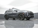 2024 Palisade Thumbnail 49