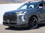2024 Palisade Thumbnail 2