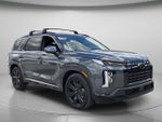 2025 Palisade Thumbnail 9