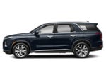 2020 Palisade Thumbnail 2