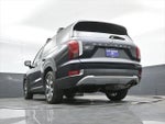 2021 Palisade Thumbnail 45