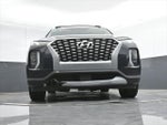 2021 Palisade Thumbnail 49