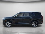 2020 Palisade Thumbnail 3