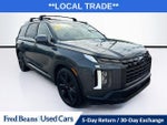 2023 Palisade Thumbnail 1