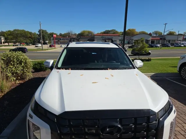 2023 Hyundai Palisade - $32,627