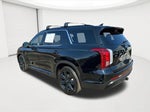 2025 Palisade Thumbnail 7