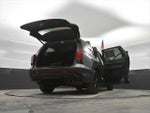 2023 Palisade Thumbnail 43
