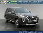 2020 Palisade Thumbnail 1