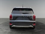 2020 Palisade Thumbnail 9
