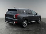 2020 Palisade Thumbnail 10