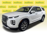 2020 Palisade Thumbnail 15