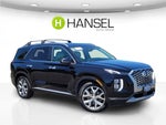 2020 Palisade Thumbnail 1