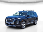 2020 Palisade Thumbnail 11