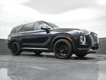 2020 Palisade Thumbnail 44