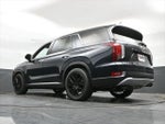 2020 Palisade Thumbnail 48