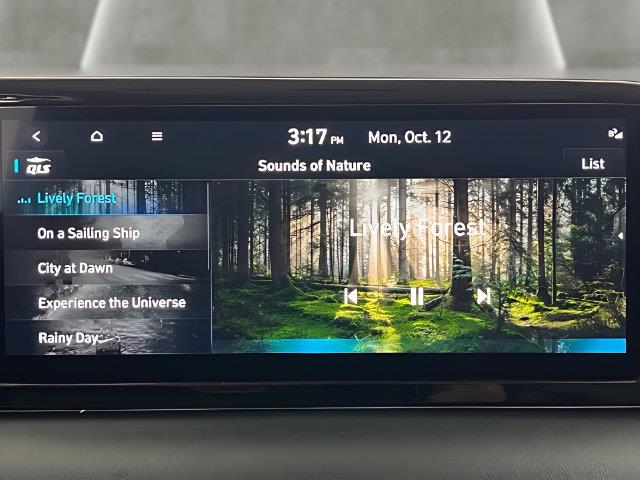 2024 Hyundai Palisade - $29,496