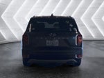 2020 Palisade Thumbnail 19