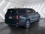 2020 Palisade Thumbnail 27