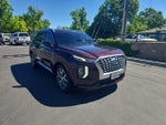 2020 Palisade Thumbnail 1