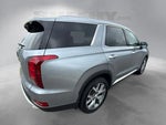2020 Palisade Thumbnail 21